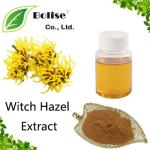 Witch Hazel Extract