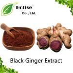 Black Ginger Extract