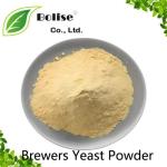 Brewers Yeast Powder