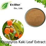 Diospyros Kaki Leaf Extract