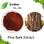 Pine Bark Extract