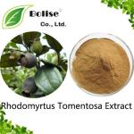 Rhodomyrtus Tomentosa Extract