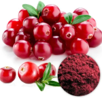Cranberry Extract