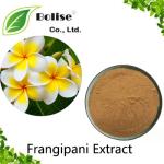 Frangipani Extract