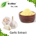 Garlic Extract