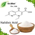 Nalidixic Acid
