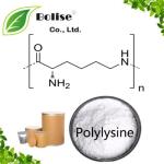Polylysine