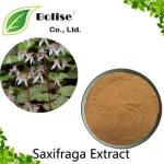 Saxifraga Extract