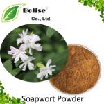 Soapwort Powder