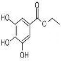Gallic Acid Isoamyl Ester