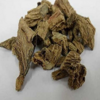 Himalayan Teasel Root Extract