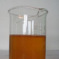 Primula Root Liquid Extract
