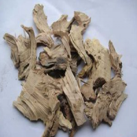 Pubescent Holly Root Extract