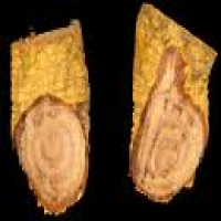 Salacia reticulata extract
