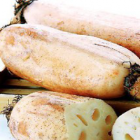 What is Lotus root?