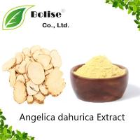 Angelica dahurica Extract Angelica dahurica Extract
