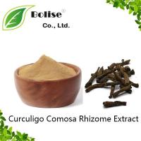 Curculigo Comosa Rhizome Extract Curculigo Comosa Rhizome Extract