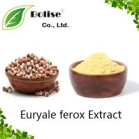 Euryale ferox Extract Euryale ferox Extract