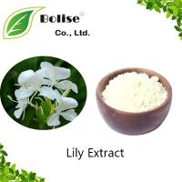 Lily Extract Lily Extract