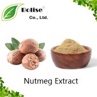Nutmeg Extract Nutmeg Extract