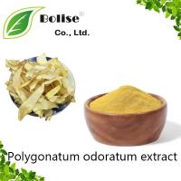 Polygonatum odoratum extract Polygonatum odoratum extract