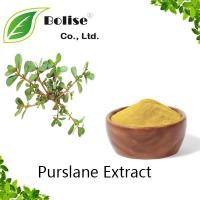 Purslane Extract Purslane Extract