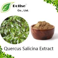 Quercus Salicina Extract Quercus Salicina Extract