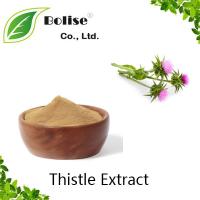Thistle Extract Thistle Extract