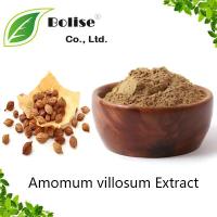 Amomum villosum Extract Amomum villosum Extract