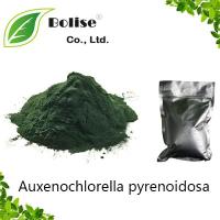 Auxenochlorella pyrenoidosa