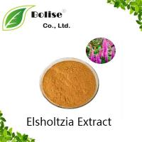 Elsholtzia Extract Elsholtzia Extract