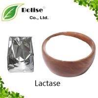 Lactase Lactase