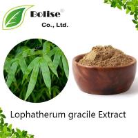 Lophatherum gracile Extract Lophatherum gracile Extract