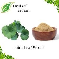 Lotus Leaf Extract