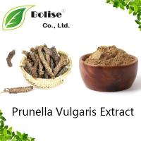 Prunella Vulgaris Extract Prunella Vulgaris Extract