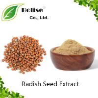 Radish Seed Extract