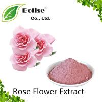 Rose Flower Extract Rose Flower Extract