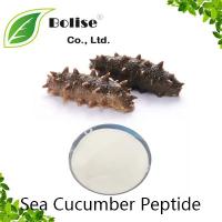Sea Cucumber Peptide