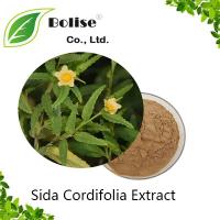 Sida Cordifolia Extract