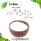 Cephalexin