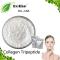 Collagen Tripeptide