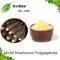 Morel Mushroom Polypeptides