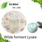Bifida Ferment Lysate